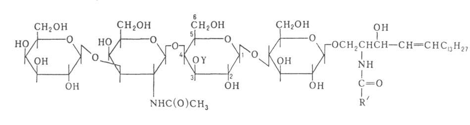 https://www.pora.ru/image/encyclopedia/7/1/1/5711.jpeg