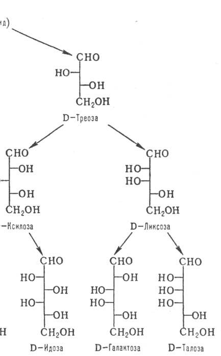 https://www.pora.ru/image/encyclopedia/7/1/1/8711.jpeg