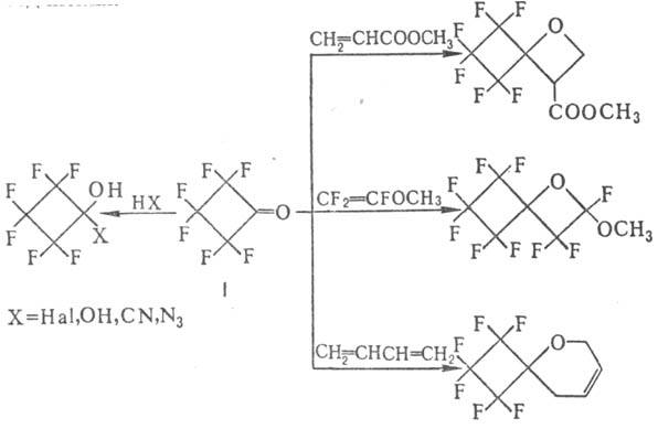 https://www.pora.ru/image/encyclopedia/7/1/3/10713.jpeg