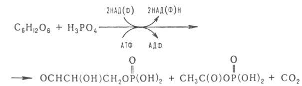 https://www.pora.ru/image/encyclopedia/7/1/4/3714.jpeg