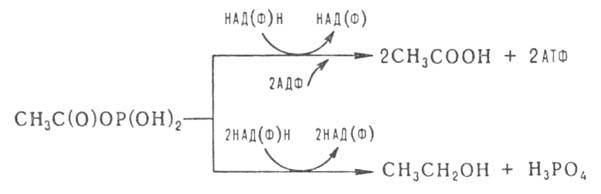 https://www.pora.ru/image/encyclopedia/7/1/5/3715.jpeg