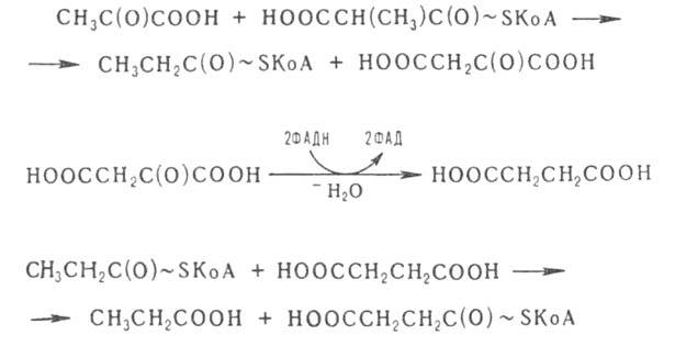 https://www.pora.ru/image/encyclopedia/7/1/6/3716.jpeg