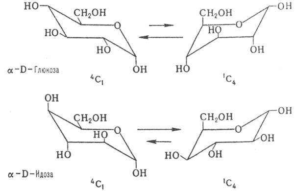 https://www.pora.ru/image/encyclopedia/7/1/6/8716.jpeg