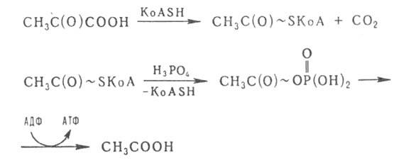 https://www.pora.ru/image/encyclopedia/7/1/7/3717.jpeg