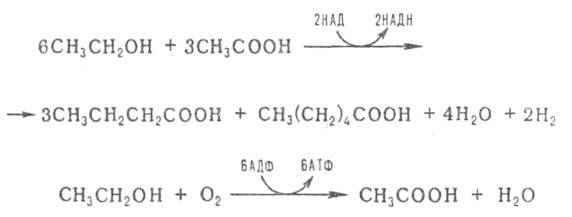 https://www.pora.ru/image/encyclopedia/7/2/2/3722.jpeg