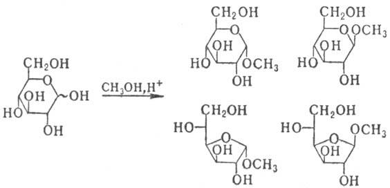 https://www.pora.ru/image/encyclopedia/7/2/2/8722.jpeg