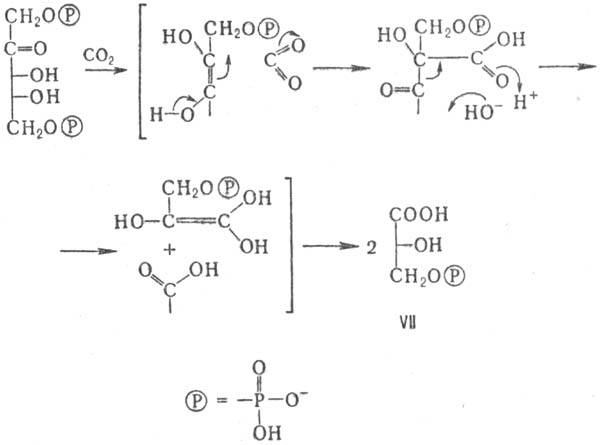 https://www.pora.ru/image/encyclopedia/7/2/3/8723.jpeg