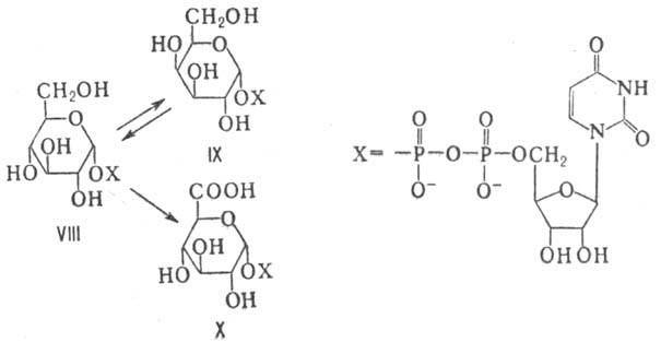 https://www.pora.ru/image/encyclopedia/7/2/4/8724.jpeg