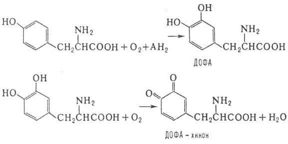 https://www.pora.ru/image/encyclopedia/7/2/6/8726.jpeg