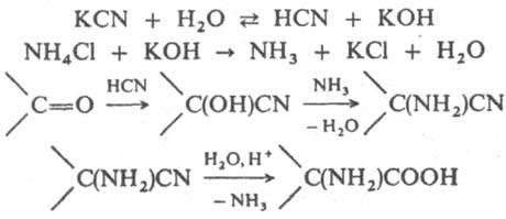 https://www.pora.ru/image/encyclopedia/7/3/3/6733.jpeg