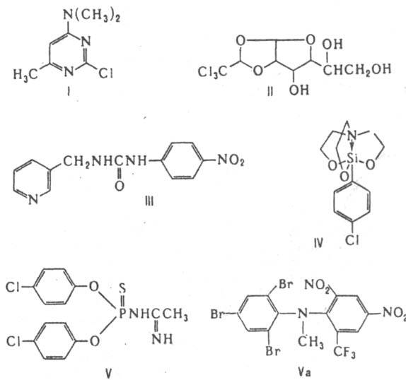 https://www.pora.ru/image/encyclopedia/7/4/3/6743.jpeg