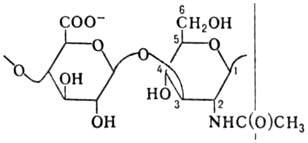 https://www.pora.ru/image/encyclopedia/7/4/4/8744.jpeg