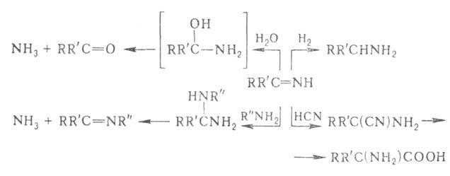 https://www.pora.ru/image/encyclopedia/7/4/8/1748.jpeg