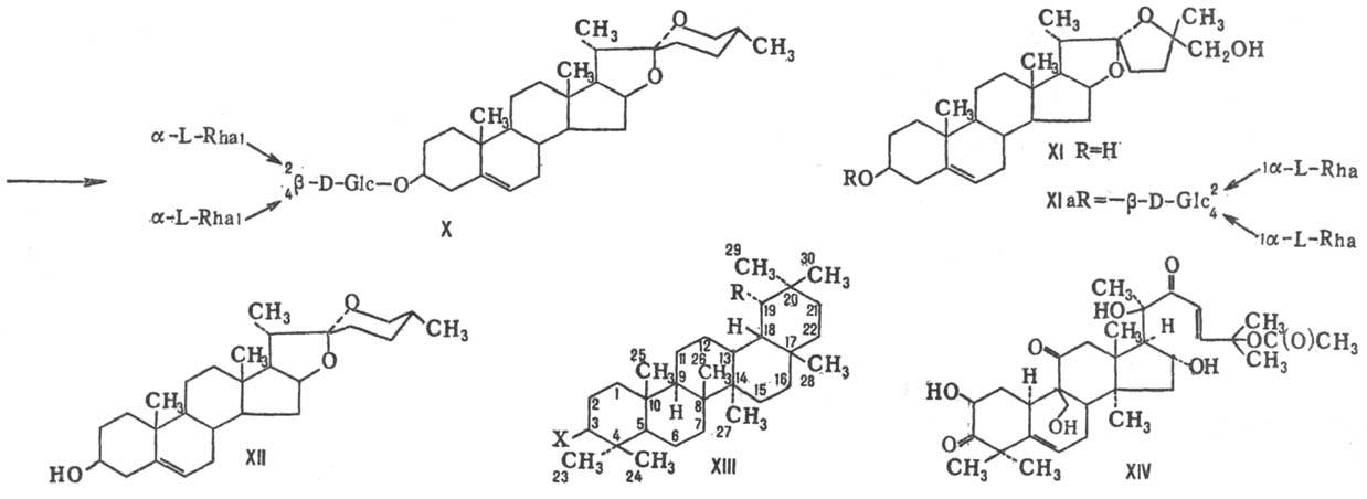 https://www.pora.ru/image/encyclopedia/7/5/2/12752.jpeg