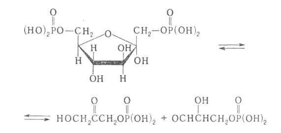 https://www.pora.ru/image/encyclopedia/7/5/2/1752.jpeg