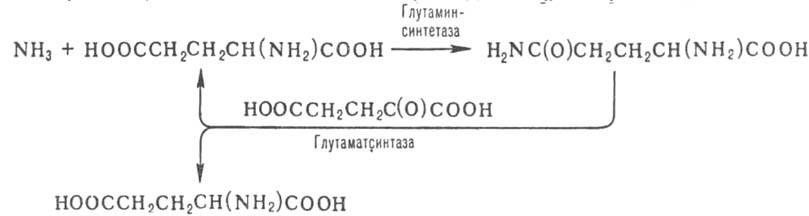 https://www.pora.ru/image/encyclopedia/7/5/4/5754.jpeg