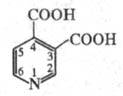 https://www.pora.ru/image/encyclopedia/7/6/7/17767.jpeg