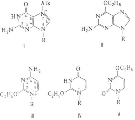 https://www.pora.ru/image/encyclopedia/7/6/8/8768.jpeg