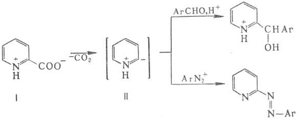 https://www.pora.ru/image/encyclopedia/7/6/9/10769.jpeg