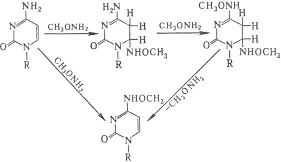 https://www.pora.ru/image/encyclopedia/7/6/9/8769.jpeg