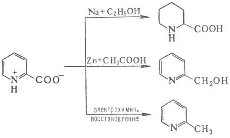 https://www.pora.ru/image/encyclopedia/7/7/0/10770.jpeg