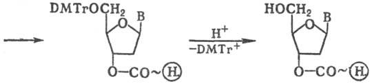 https://www.pora.ru/image/encyclopedia/7/7/2/13772.jpeg