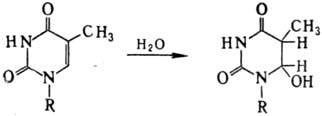 https://www.pora.ru/image/encyclopedia/7/7/2/8772.jpeg