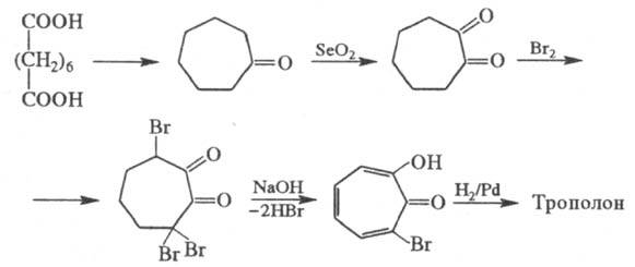 https://www.pora.ru/image/encyclopedia/7/7/3/14773.jpeg