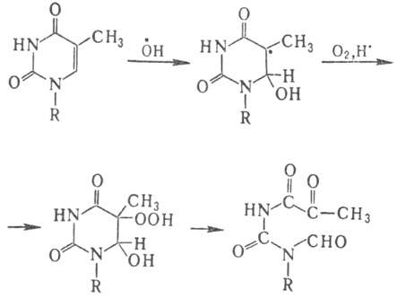 https://www.pora.ru/image/encyclopedia/7/7/4/8774.jpeg