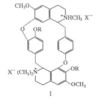 https://www.pora.ru/image/encyclopedia/7/7/5/14775.jpeg