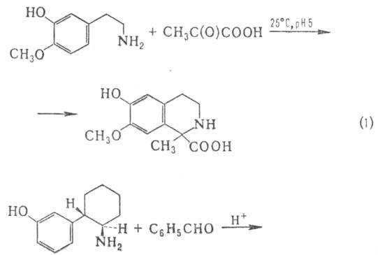 https://www.pora.ru/image/encyclopedia/7/7/7/10777.jpeg