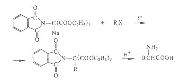 https://www.pora.ru/image/encyclopedia/7/7/8/4778.jpeg