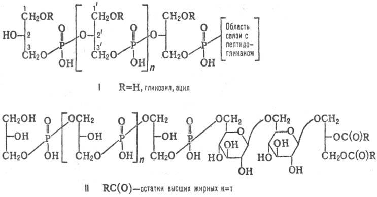 https://www.pora.ru/image/encyclopedia/7/8/7/13787.jpeg