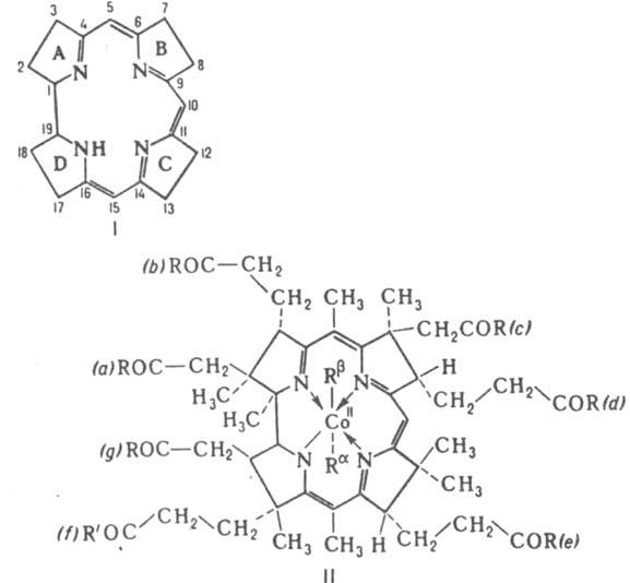 https://www.pora.ru/image/encyclopedia/8/1/0/7810.jpeg