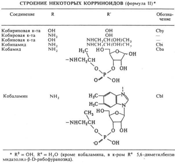 https://www.pora.ru/image/encyclopedia/8/1/2/7812.jpeg