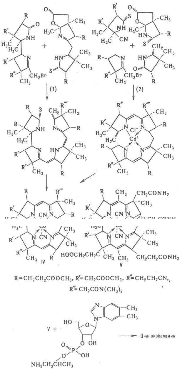 https://www.pora.ru/image/encyclopedia/8/1/5/7815.jpeg