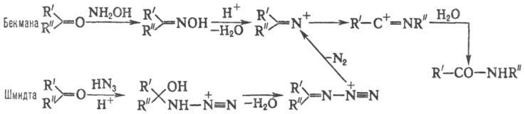 https://www.pora.ru/image/encyclopedia/8/1/7/12817.jpeg