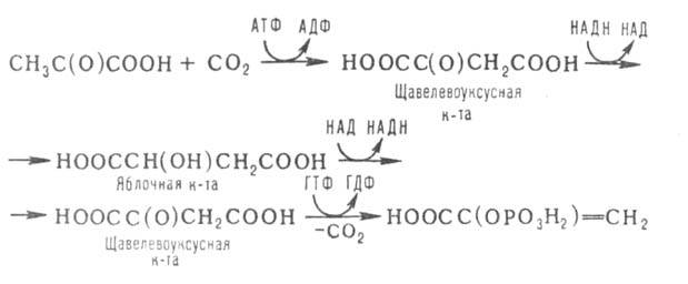 https://www.pora.ru/image/encyclopedia/8/1/8/5818.jpeg