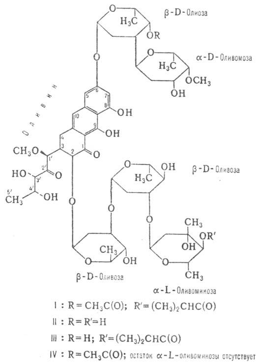 https://www.pora.ru/image/encyclopedia/8/1/8/9818.jpeg