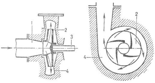 https://www.pora.ru/image/encyclopedia/8/2/9/8829.jpeg