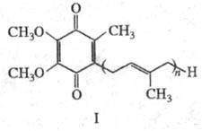 https://www.pora.ru/image/encyclopedia/8/3/2/14832.jpeg