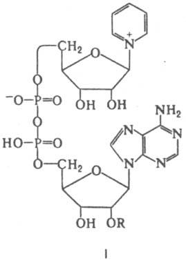 https://www.pora.ru/image/encyclopedia/8/3/2/7832.jpeg