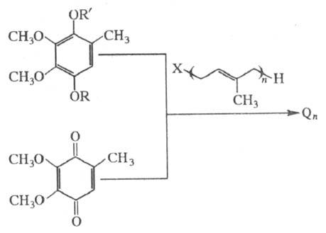 https://www.pora.ru/image/encyclopedia/8/3/3/14833.jpeg