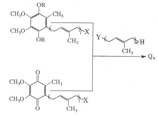 https://www.pora.ru/image/encyclopedia/8/3/4/14834.jpeg