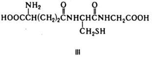 https://www.pora.ru/image/encyclopedia/8/3/4/7834.jpeg