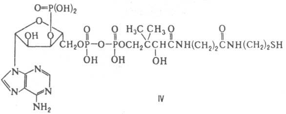 https://www.pora.ru/image/encyclopedia/8/3/5/7835.jpeg