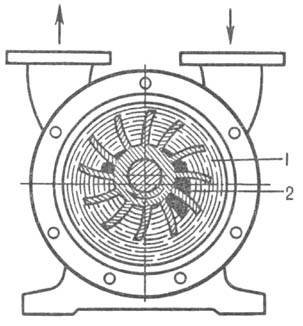 https://www.pora.ru/image/encyclopedia/8/3/6/8836.jpeg