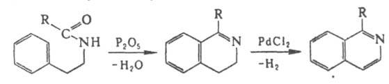 https://www.pora.ru/image/encyclopedia/8/4/9/6849.jpeg