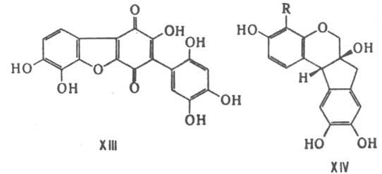 https://www.pora.ru/image/encyclopedia/8/4/9/7849.jpeg