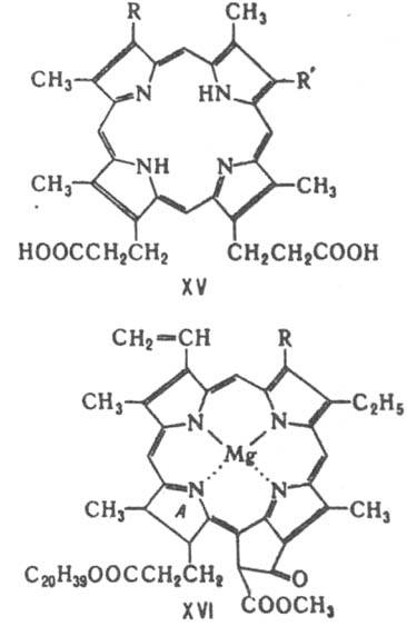 https://www.pora.ru/image/encyclopedia/8/5/0/7850.jpeg